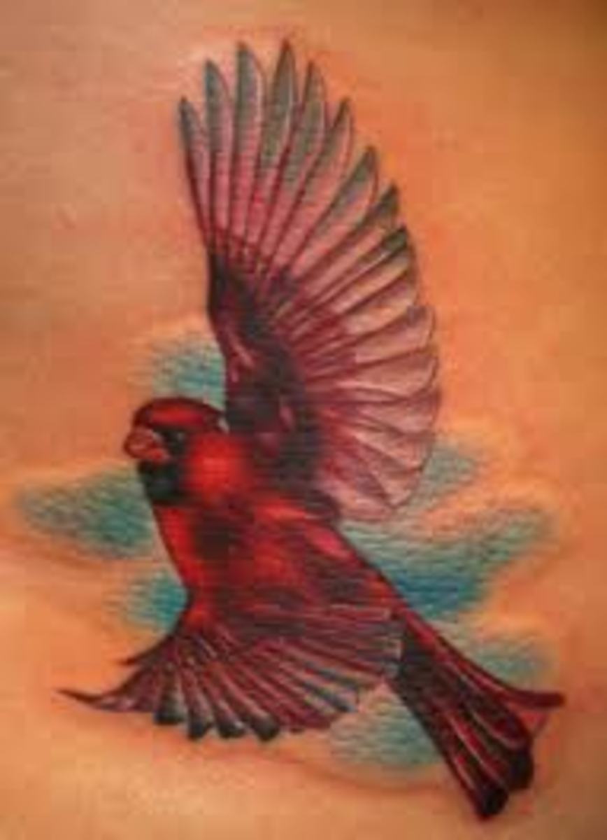 Cardinal Tattoos And Designs-Cardinal Tattoo Ideas And Meanings