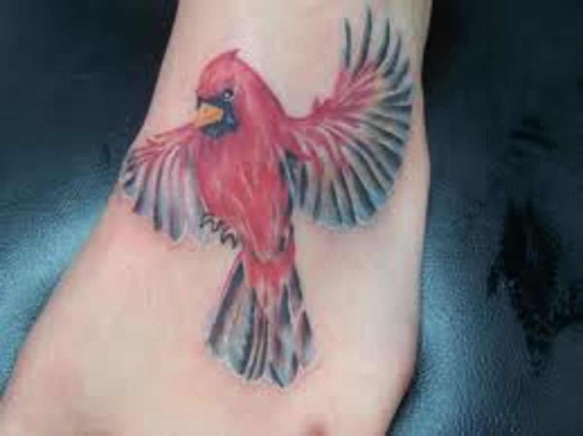 cardinal-tattoos-and-designs-cardinal-tattoo-ideas-and-meanings