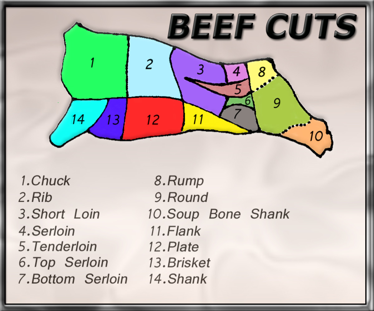 The 14 main primal cuts of beef labeled 