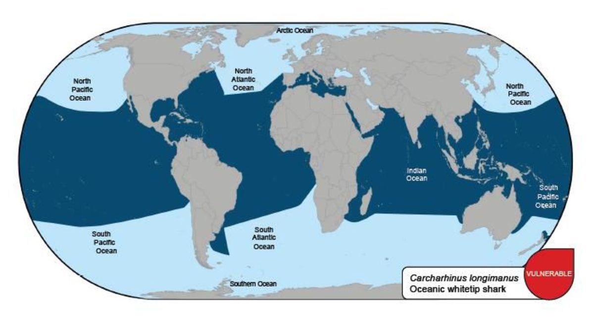 Geographic distribution of Oceanic whitetip sharks