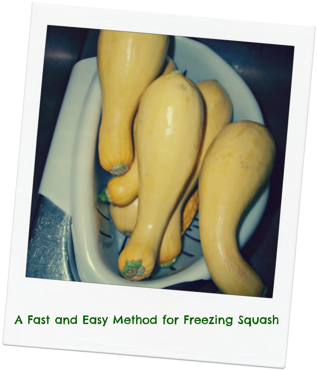 A Fast and Easy Method to Freezing Squash