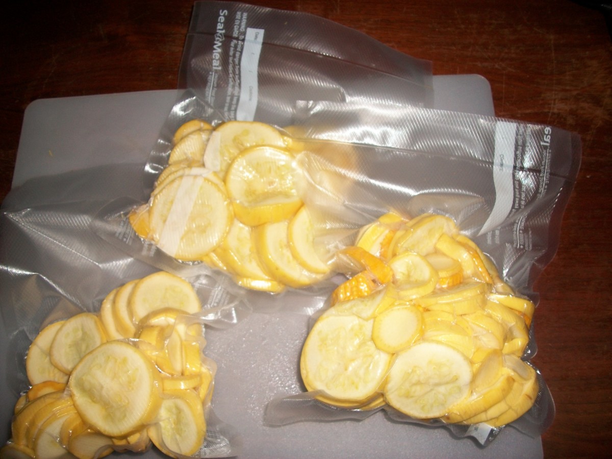 Vacuum sealed squash that has not been blanched will last in freezer four to six month. 