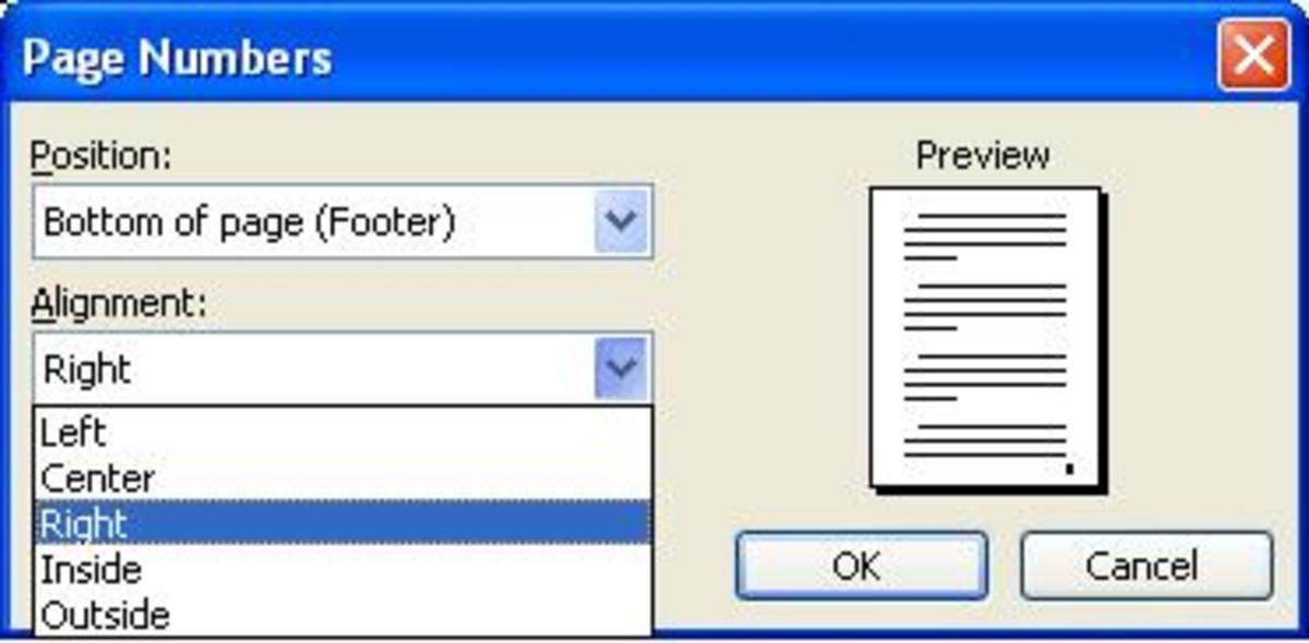 Using the Insert Menu in Microsoft Office Word 2003
