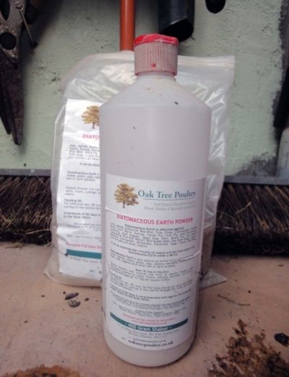 Diatomaceous earth powder bottle shaker