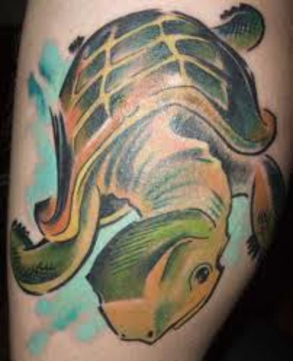 Green sea turtle tattoo