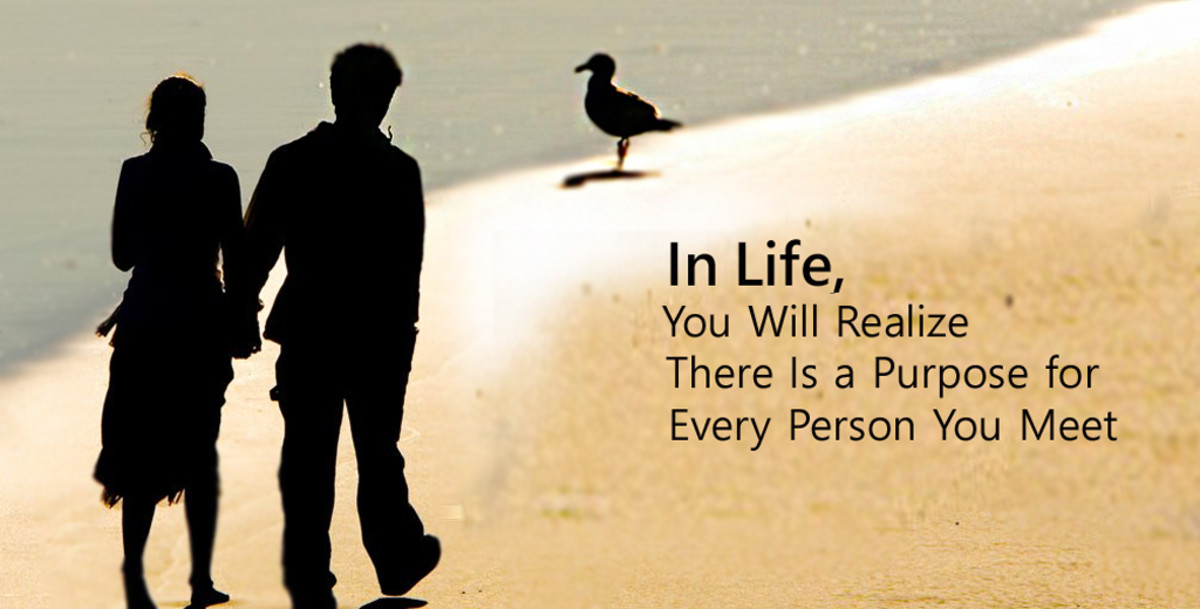 In Life You Will Realize There Is A Purpose For Every Person You Meet 