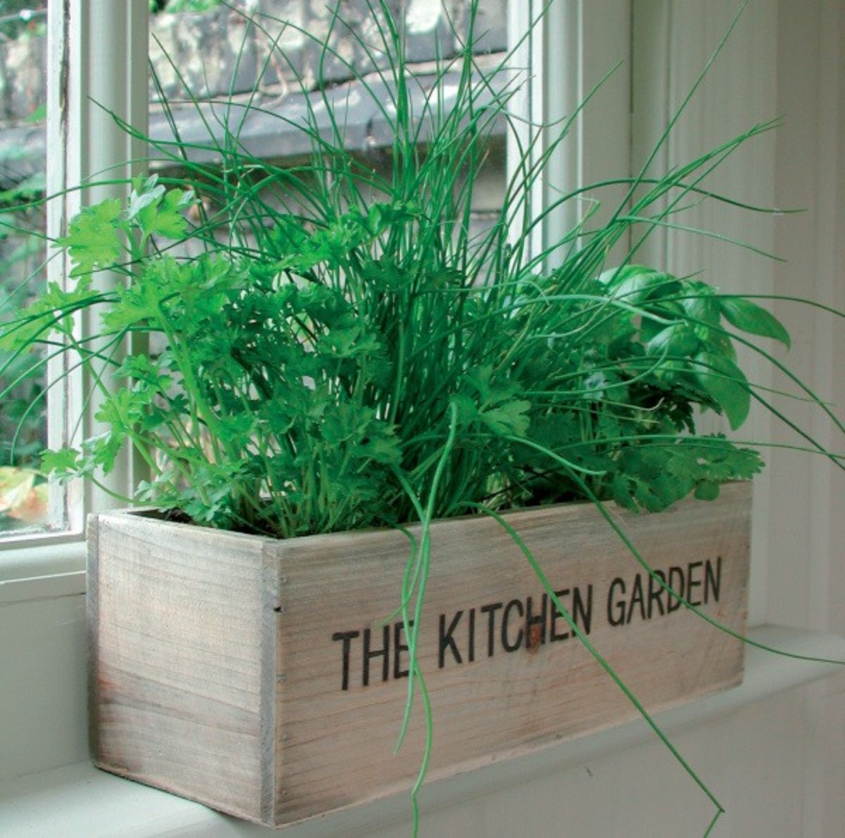 Perk Up The Kitchen With Herb Plants:  Design Inspiration