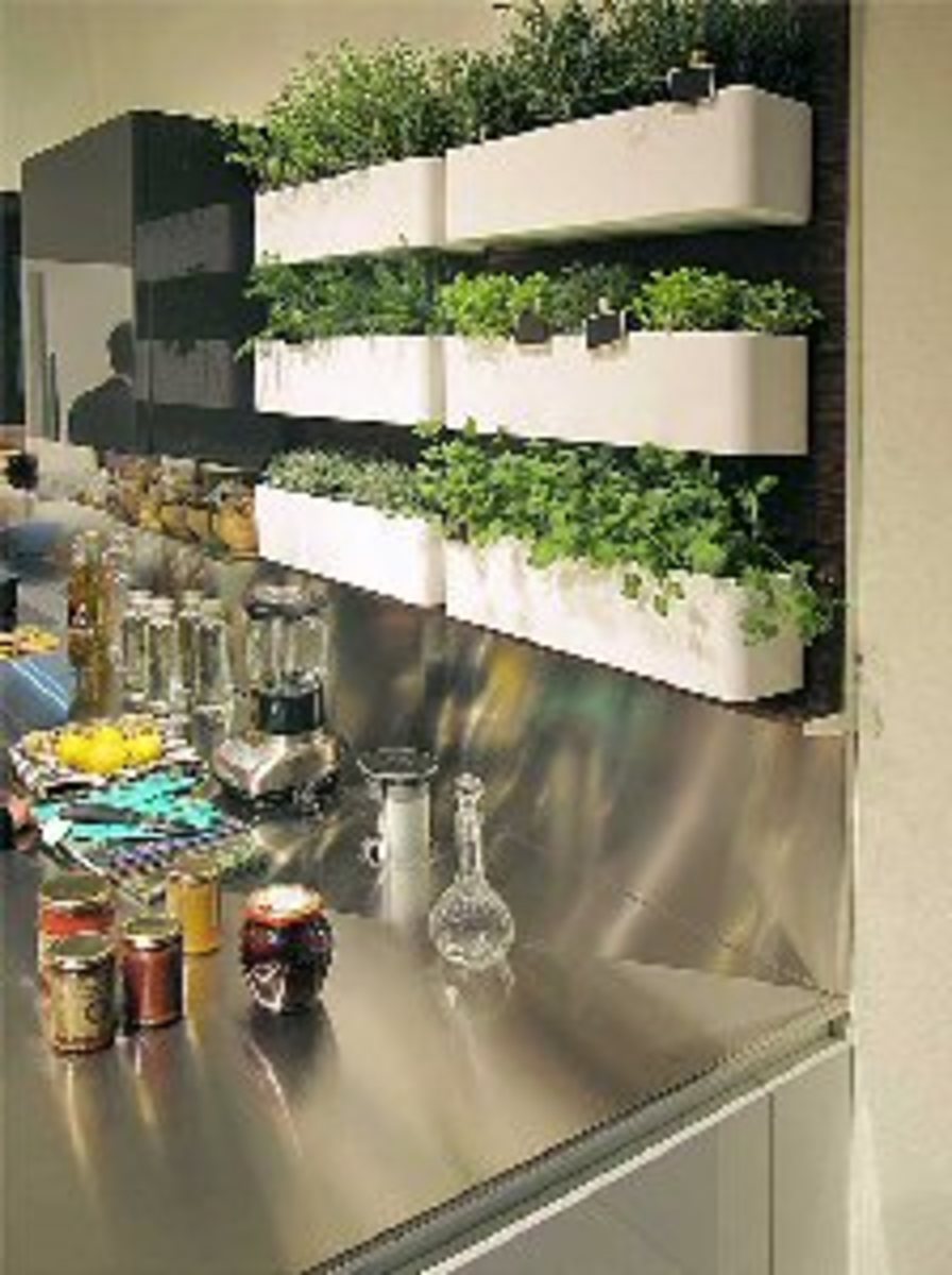 perk-up-the-kitchen-with-herb-plants