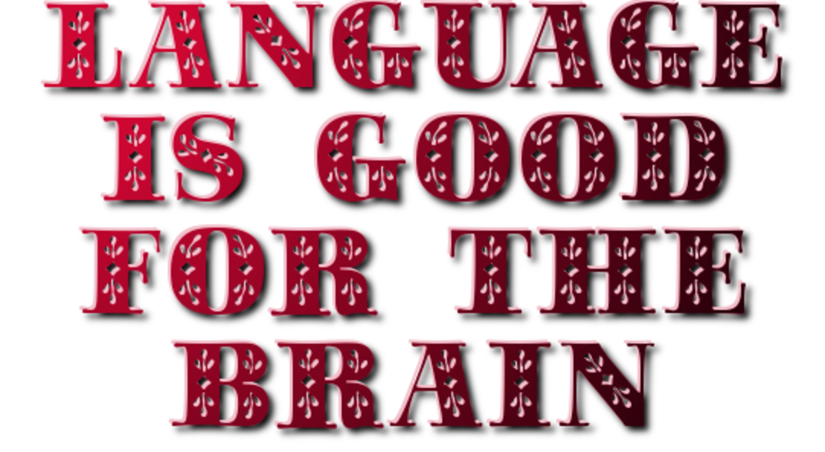 second-language-learning-best-time-to-learn-how-and-why-hubpages