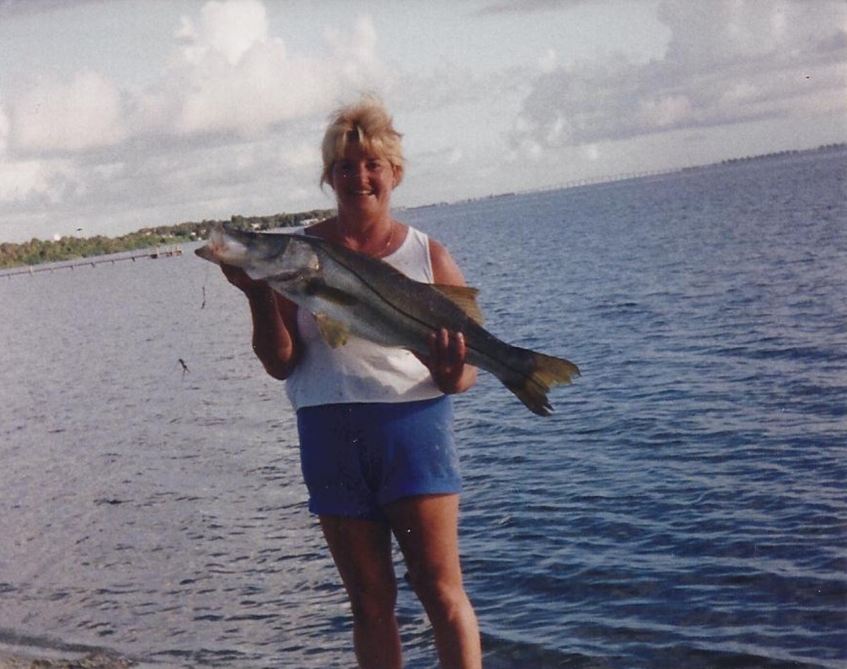 This Snook was way over the size limit of 34 inches so I practice catch and release. 