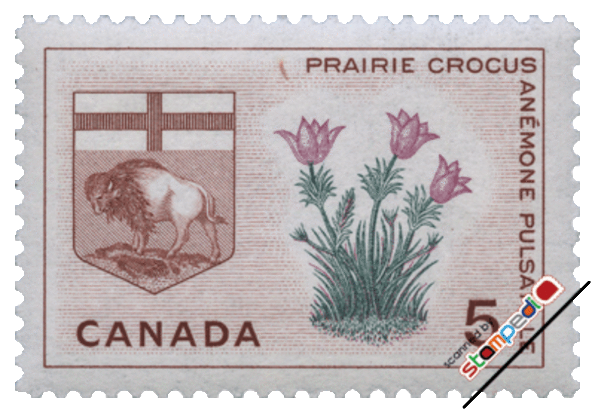 1965 - The Prairie Crocus appeared on the 5¢ Canadian Commermorative Stamp