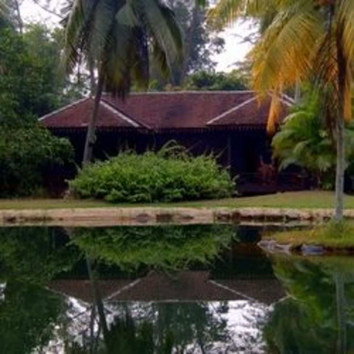 Tanjung Inn: The Best Chalet in Cherating