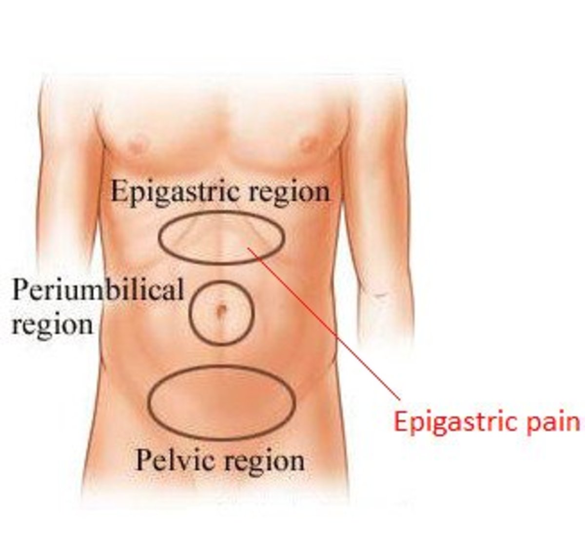 Epigastric Pain - Location, Causes and Treatment