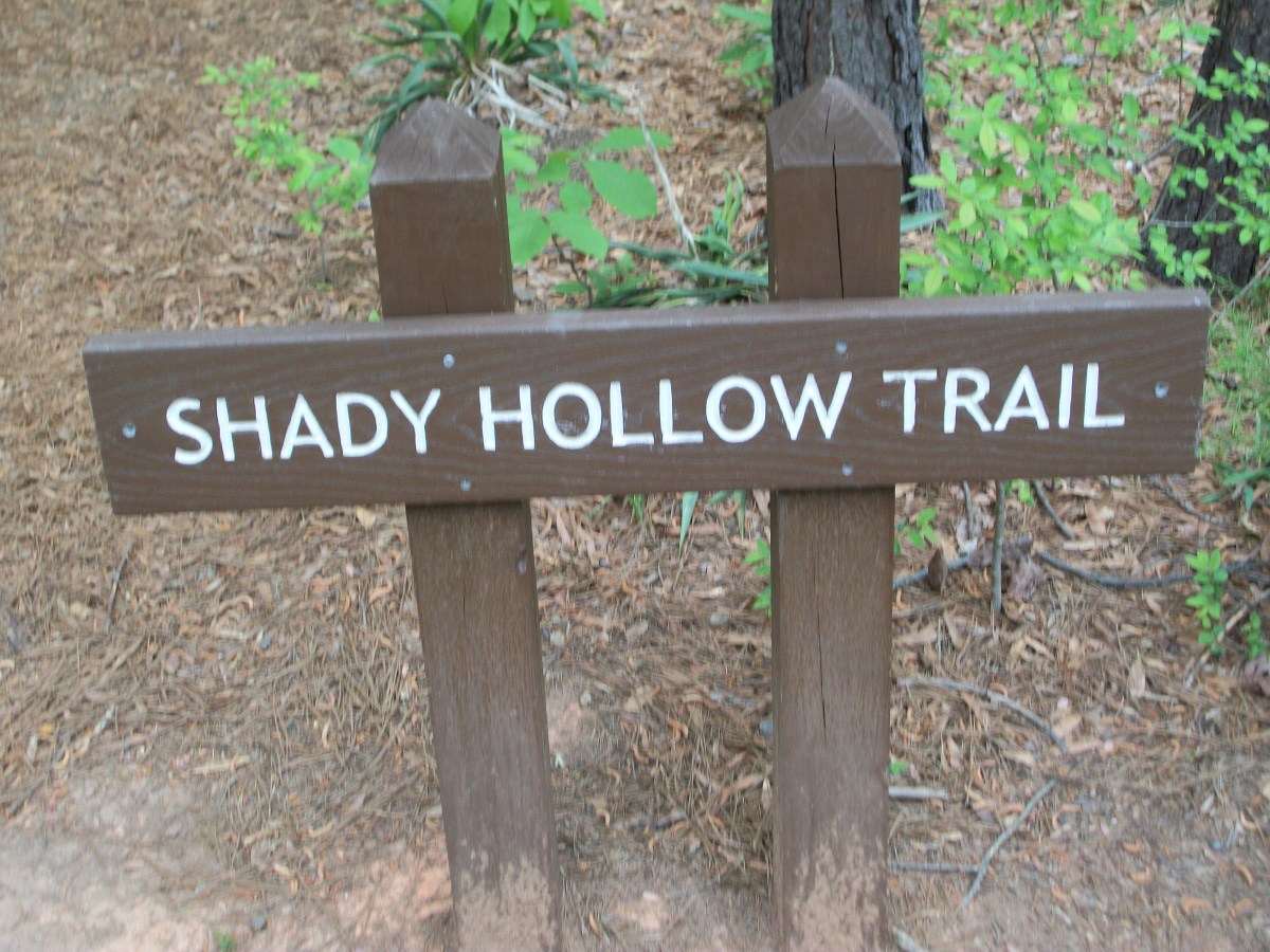 Shady Hollow Trail at McDowell Nature Preserve, Charlotte, NC