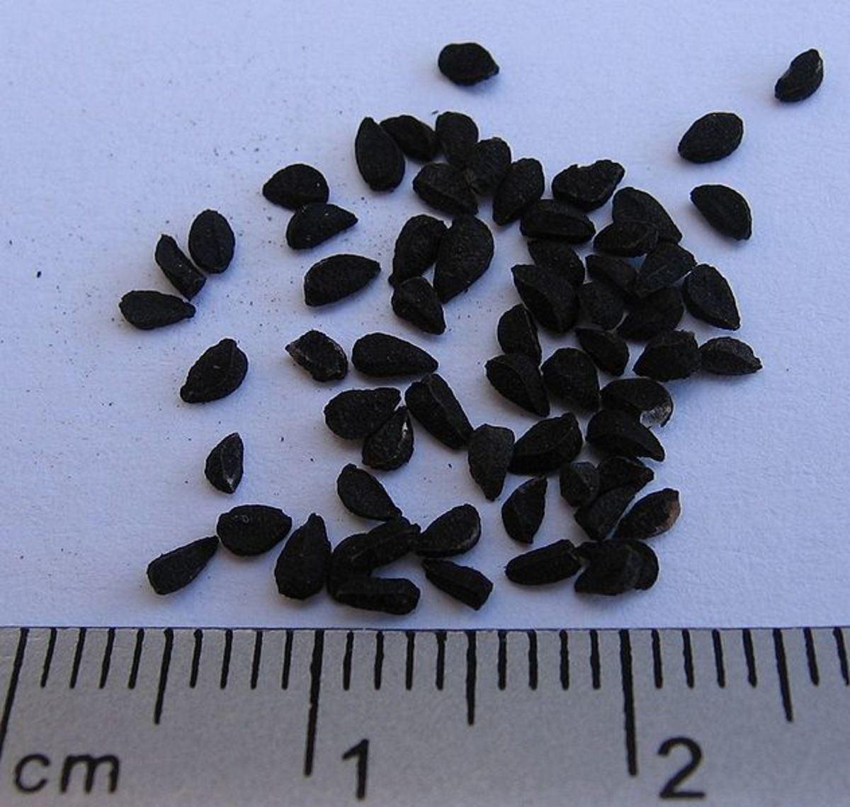 Kalonji, Black Seed or Nigella Sativa Seed and Its Health Benefits
