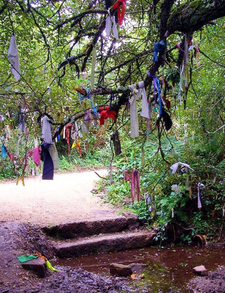 Offerings of ribbon decorate a Fairy Wishing Tree  near Madron Well, Cornwall.