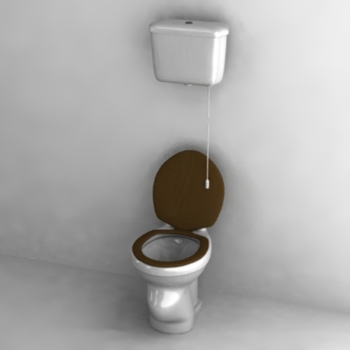 A typical Dutch toilet