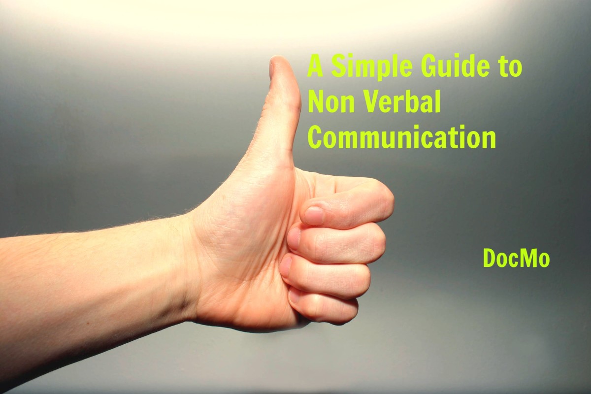 A Simple Guide to Non Verbal Communication