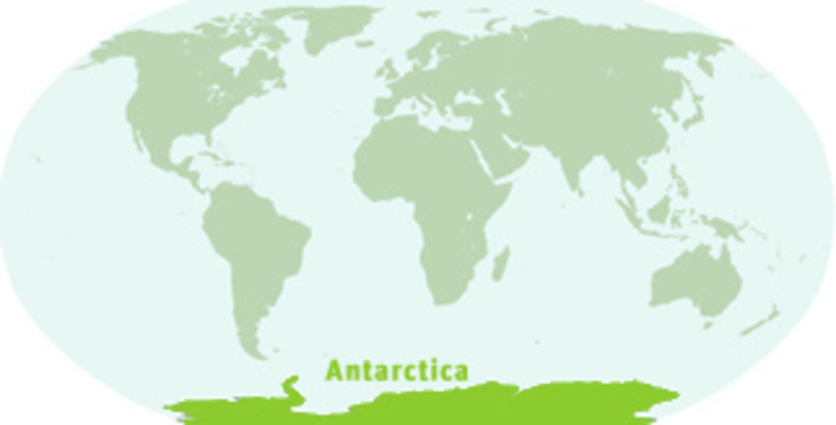 birds-of-antarctica