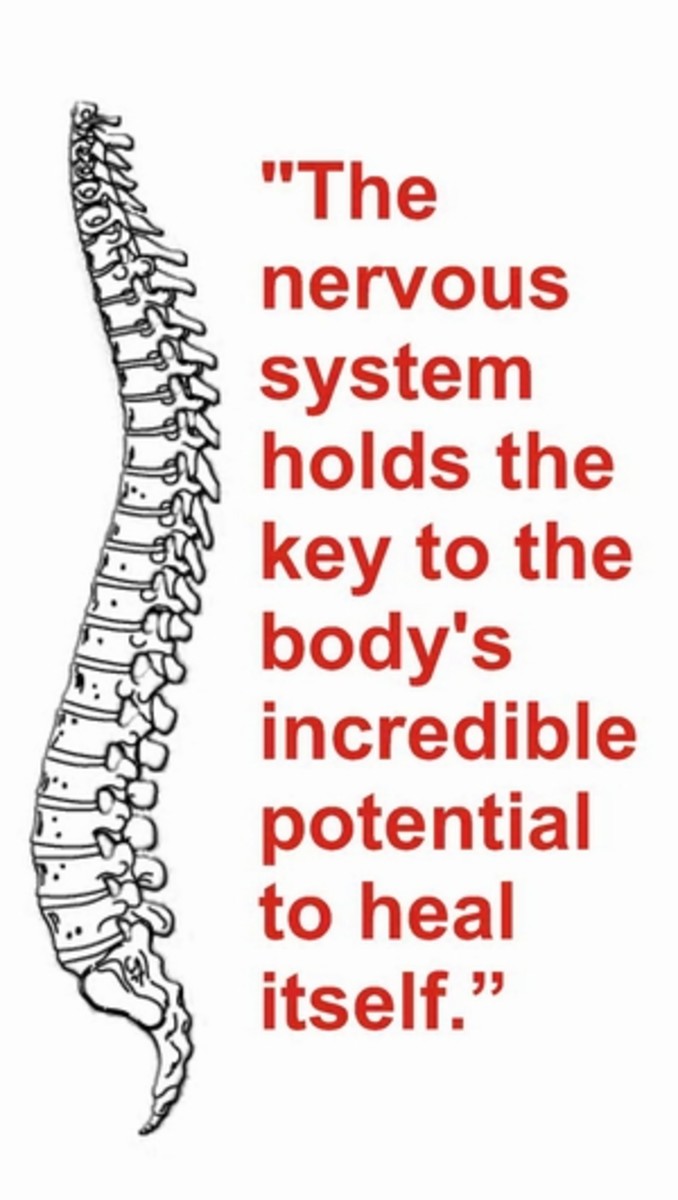 chiropractic-services-the-underrated-overlooked-medical-treatment