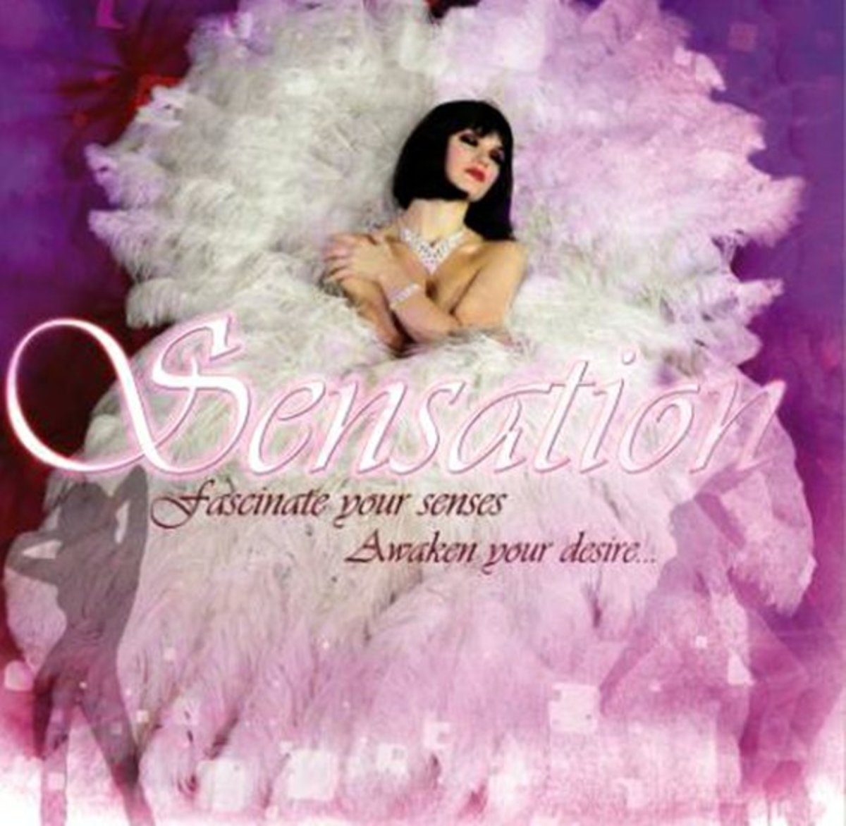 Poster for 'Sensation' show