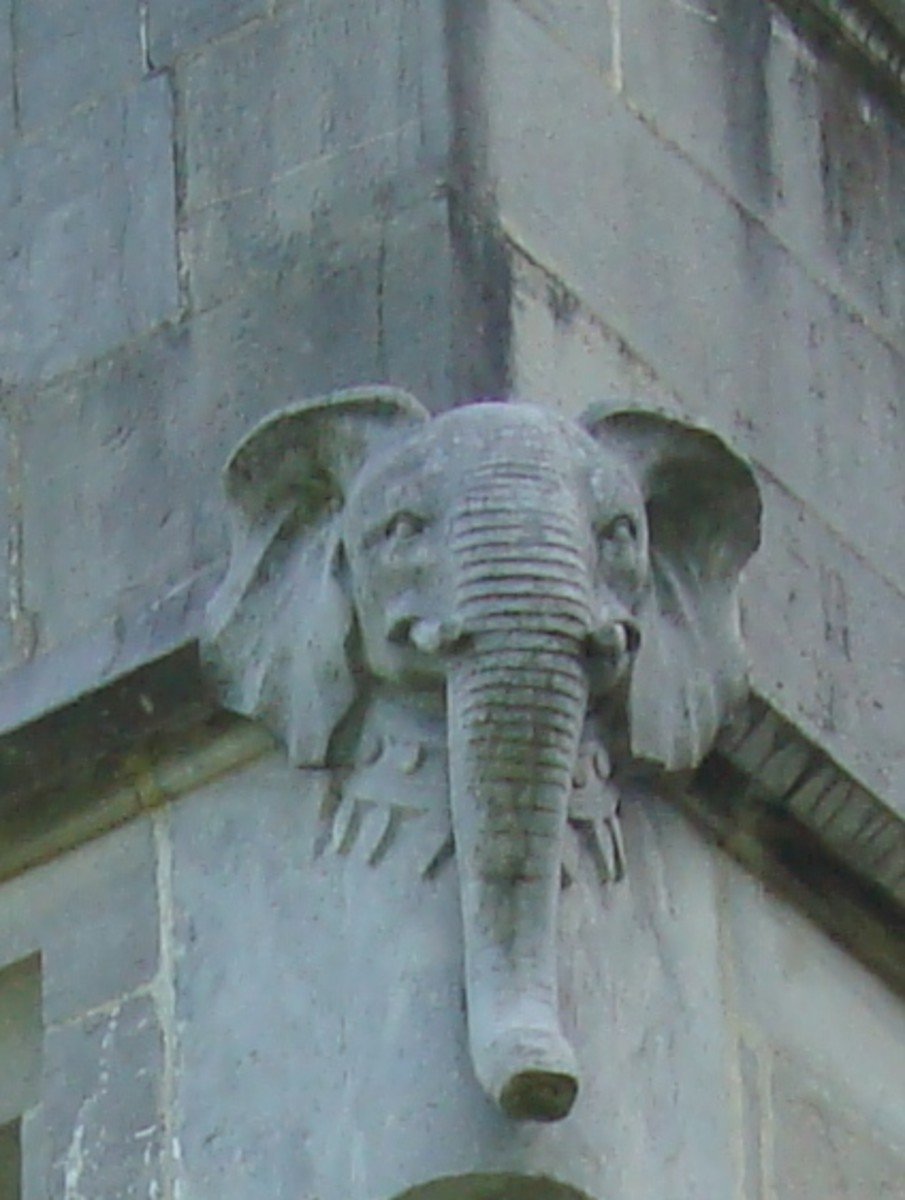 the elephant’s heads could represent the wisdom and knowledge.