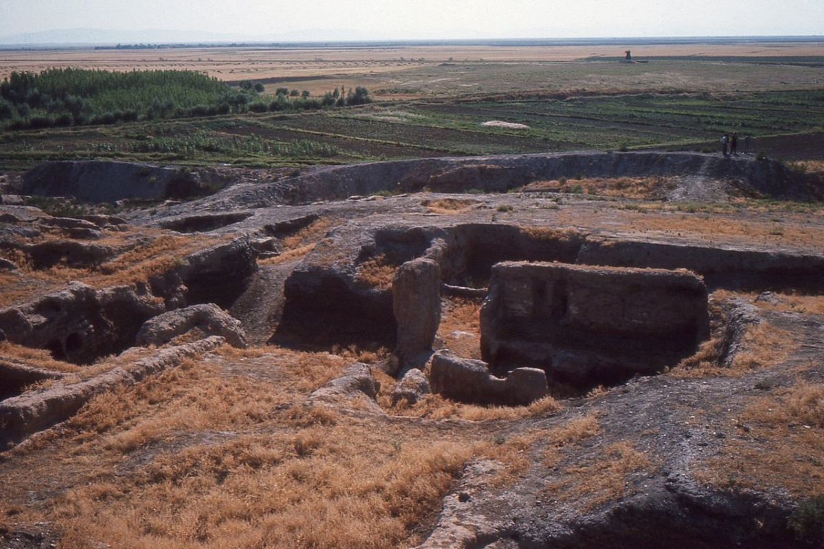 Excavation Site
