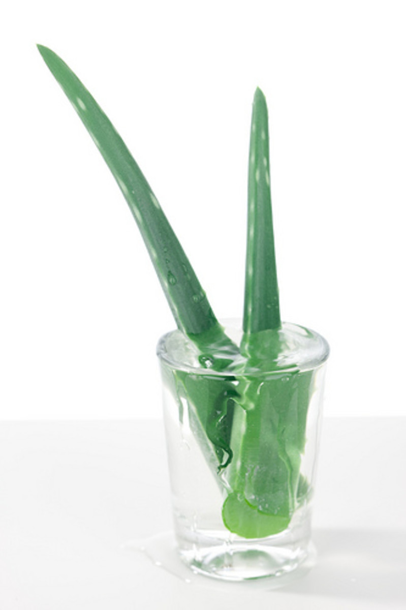 How to Use Aloe Vera for Everything