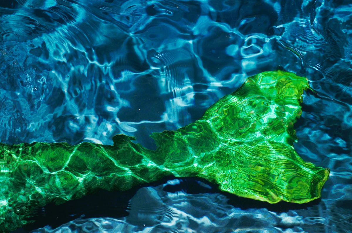 A mermaid's green tail photographed under water. 