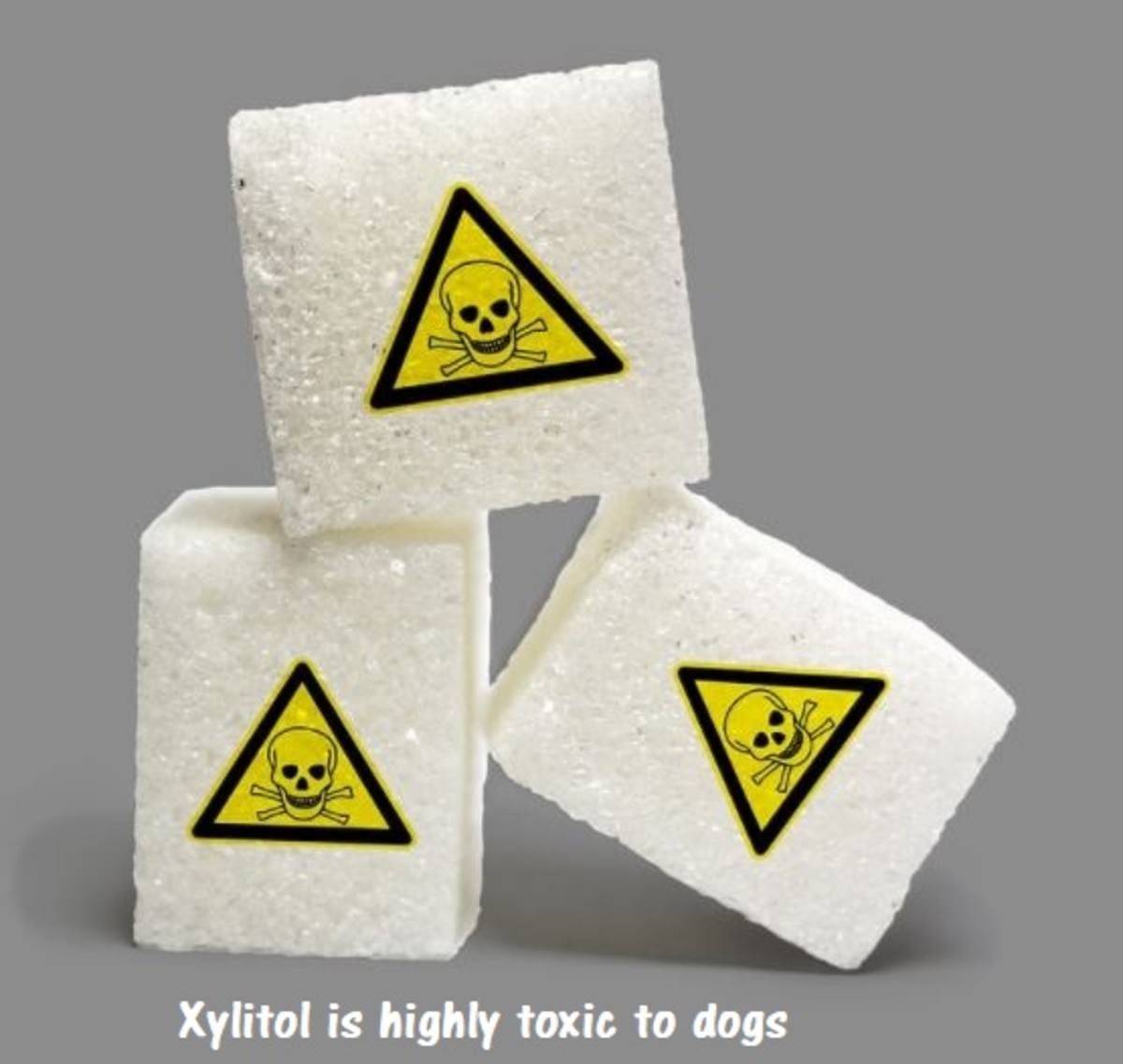 are artificial sweeteners safe for dogs