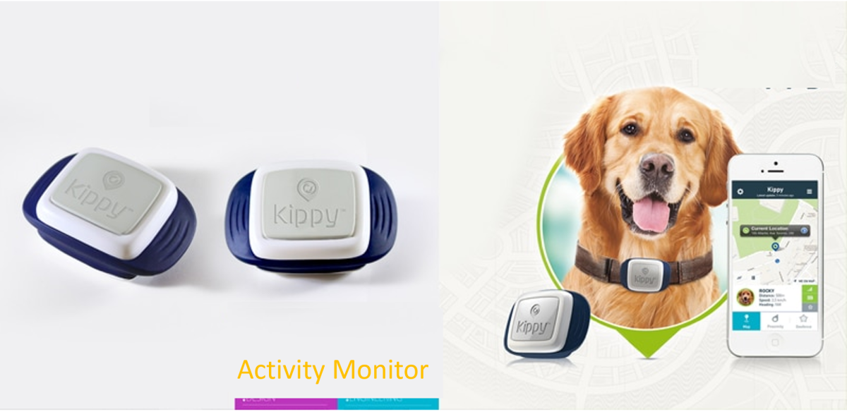 10-benefits-of-gps-dog-collars-for-pet-owners