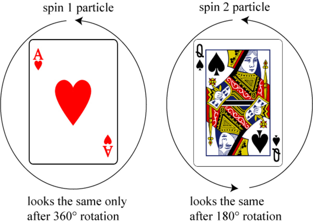 why-do-quantum-particles-have-spin
