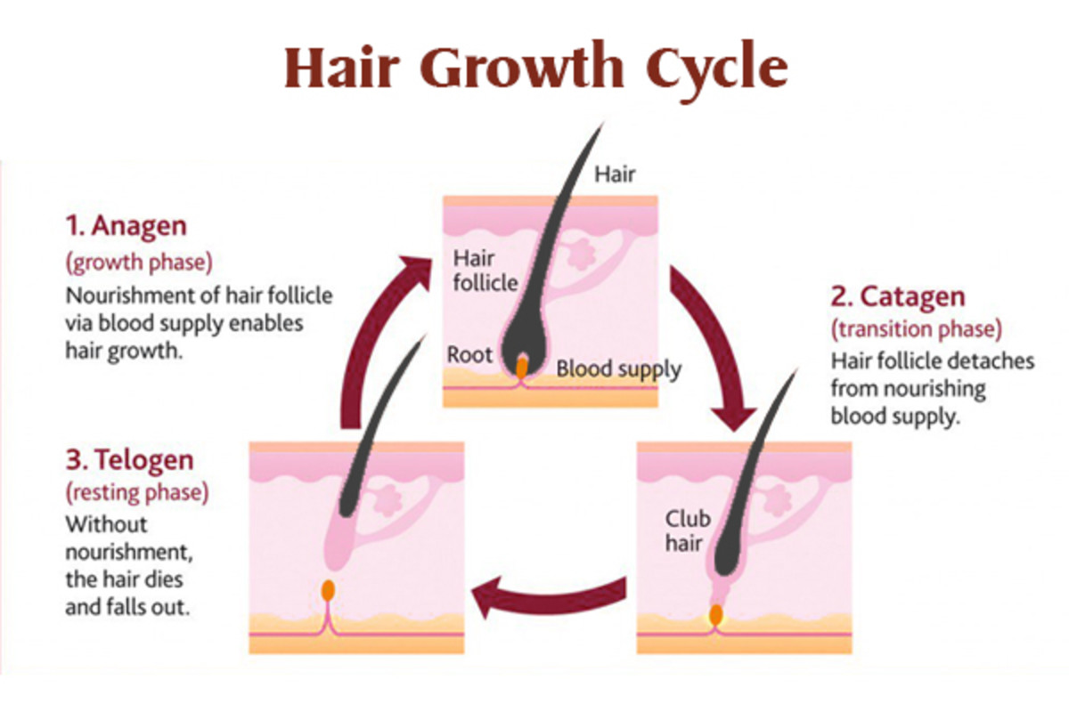  How To Grow Black Hair Naturally HubPages
