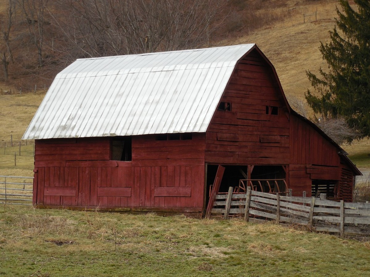 an-honored-salute-to-the-american-barn