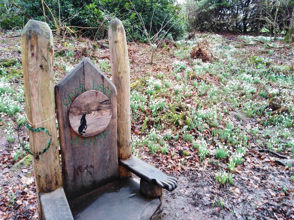 Fullarton Woods Troon South Ayrshire Scotland HubPages
