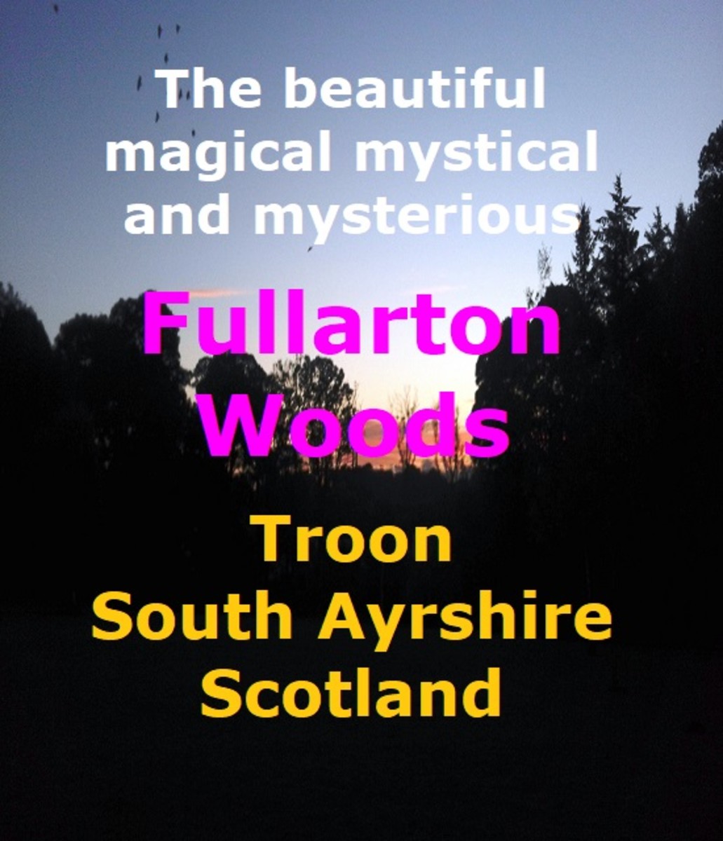 Fullarton Woods: Troon South Ayrshire Scotland