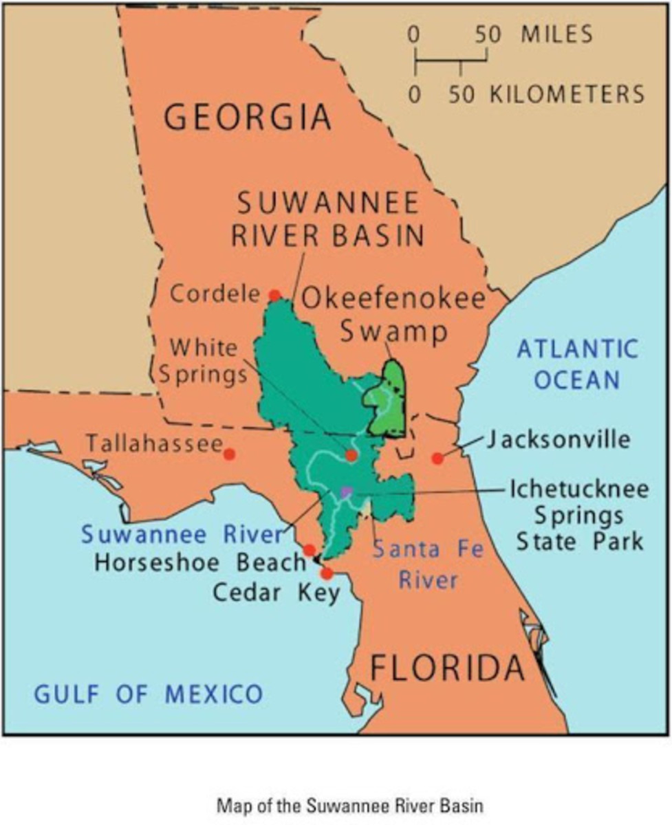 The Okefenokee Swamp, A Special Place