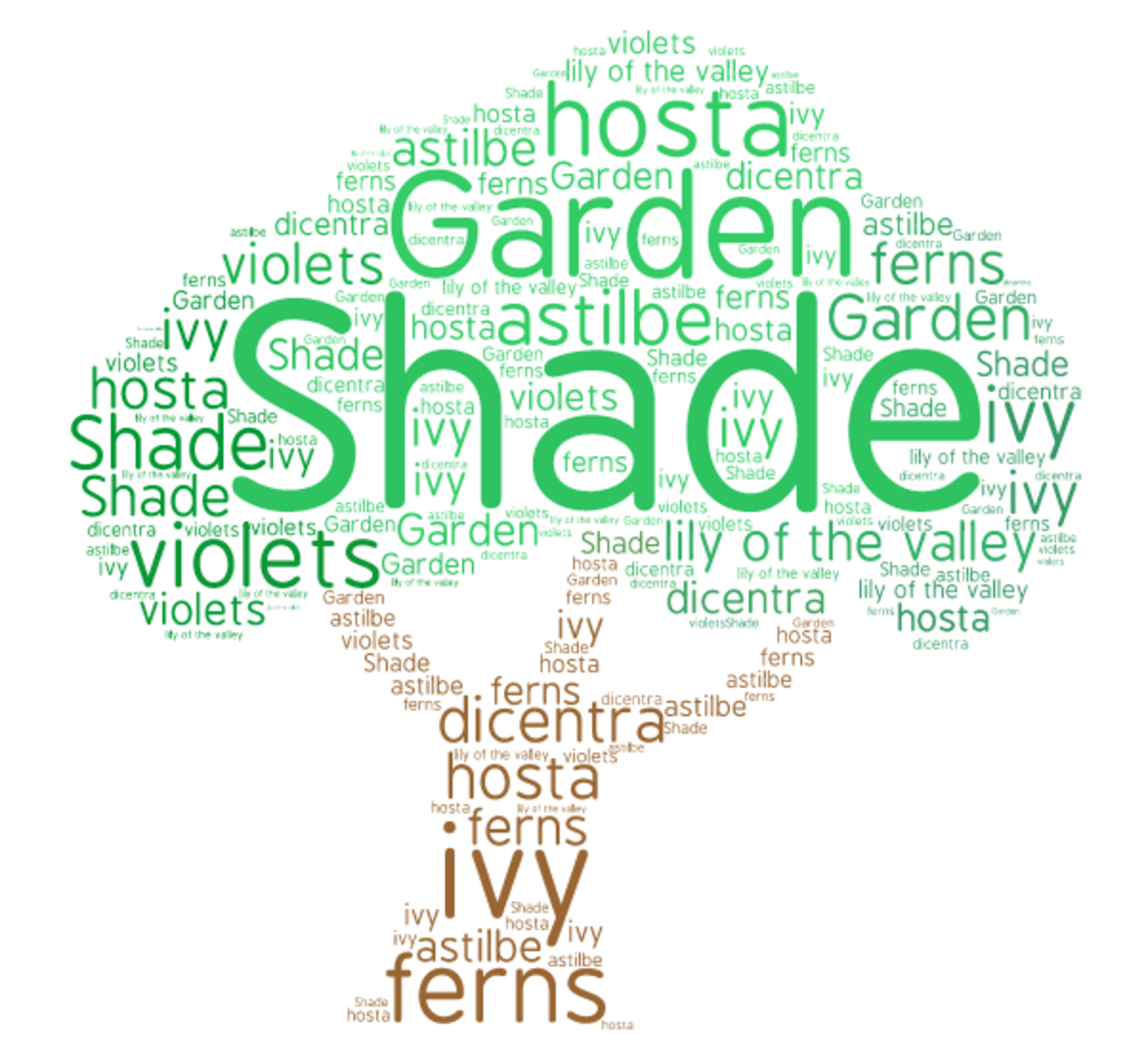 the-shade-garden