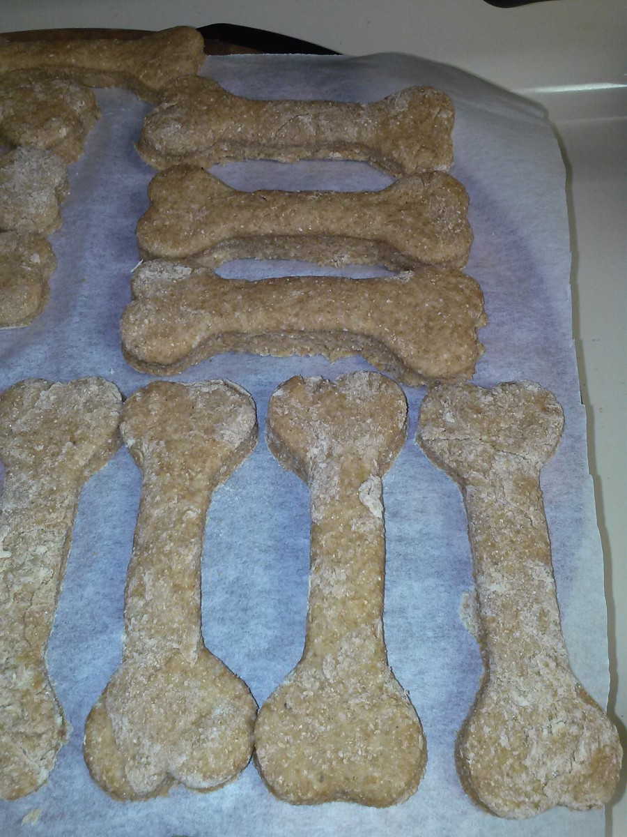 healthy dog cookies
