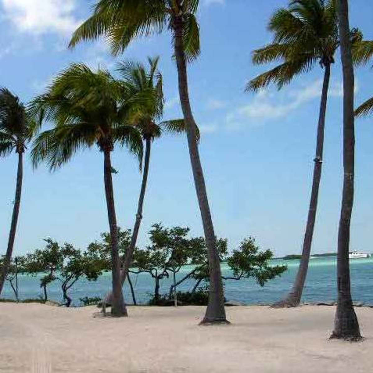 Florida for Teachers and Travelers