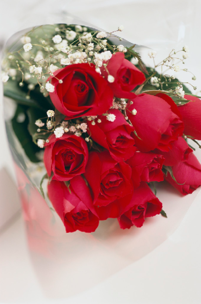 The Classic Dozen Red Roses Bouquet