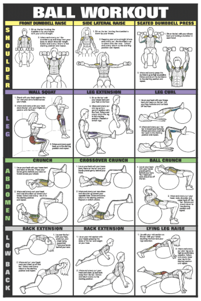 Ball workout chart: shoulders, legs, ab, lower back
