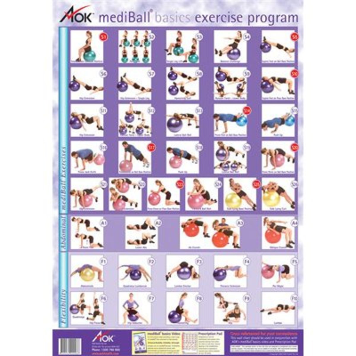 Balance Ball Exercise Chart / Poster in Purple