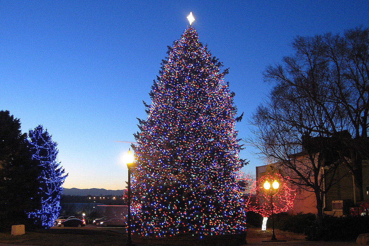 Lighted tree—Holiday and Christmas Lights in Littleton