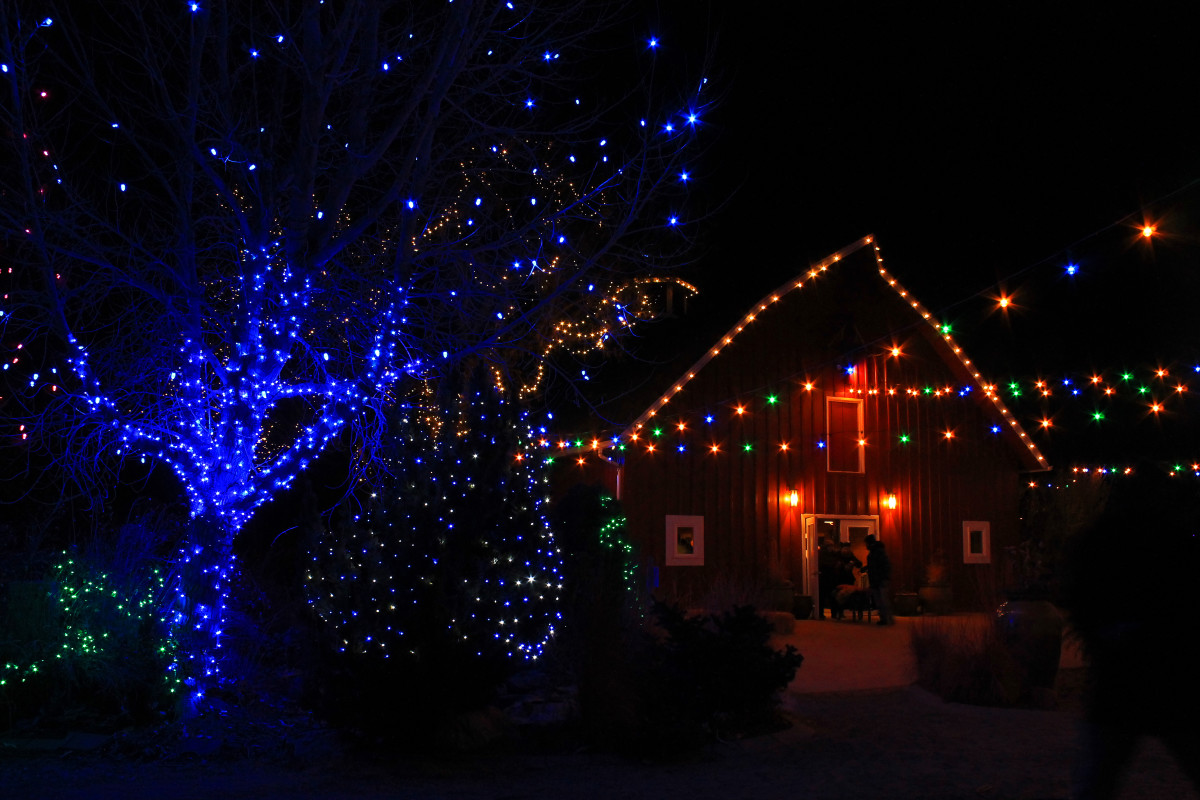 Driving Tour of Holiday Lights in South Metro Denver WanderWisdom