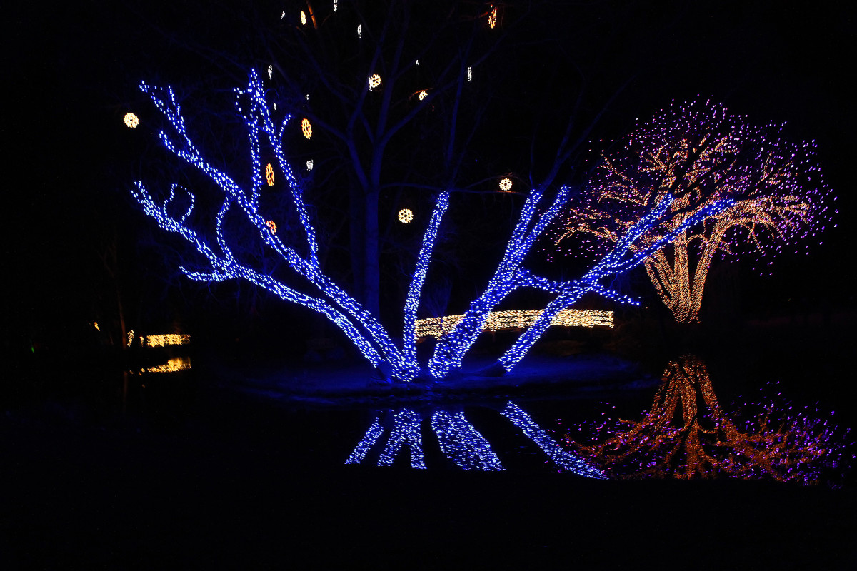 A Driving Tour of Holiday Lights in South Metro Denver Littleton