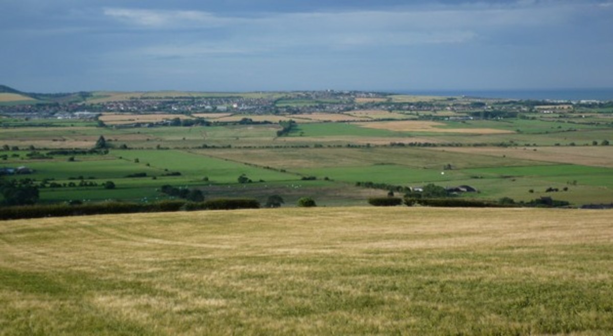 A view of Star Carr in the Vale of Pickering, an archaeological site near Pickering, once at the edge of the lake that extended across the width of the dale east towards Scarborough. 