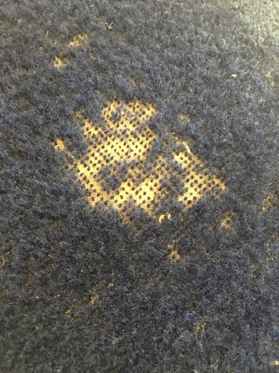 getting-rid-of-carpet-moths