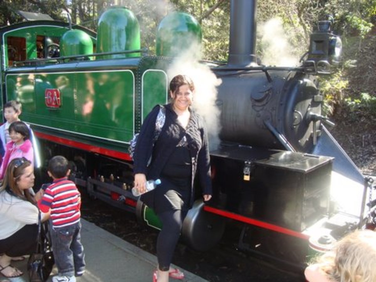 Bhawana near Puffing Billy Steam Engine