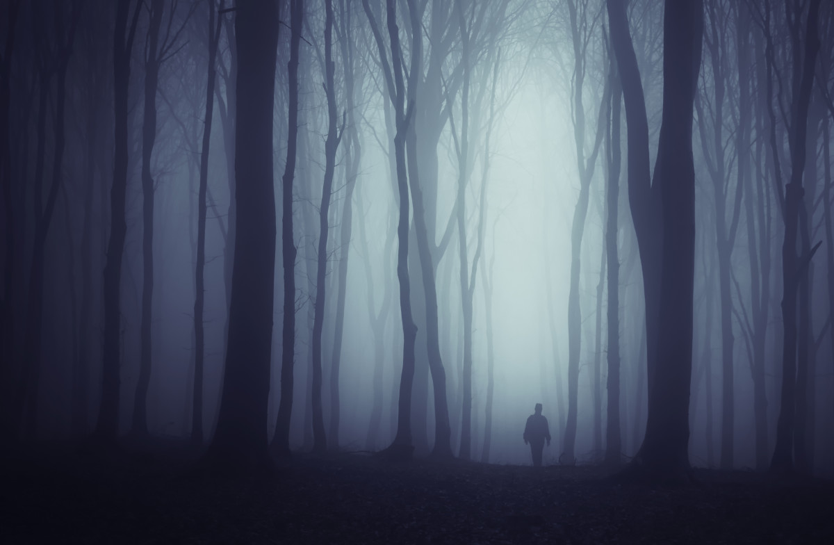 How To Build A Haunted Trail For Halloween HubPages how-to-build-a-haunted-trail-for-halloween-hubpages